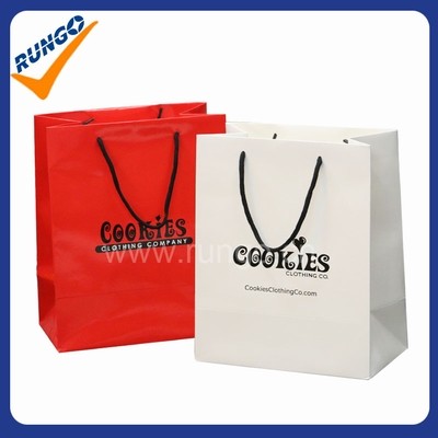 Custom printed paper bag with glossy lamination