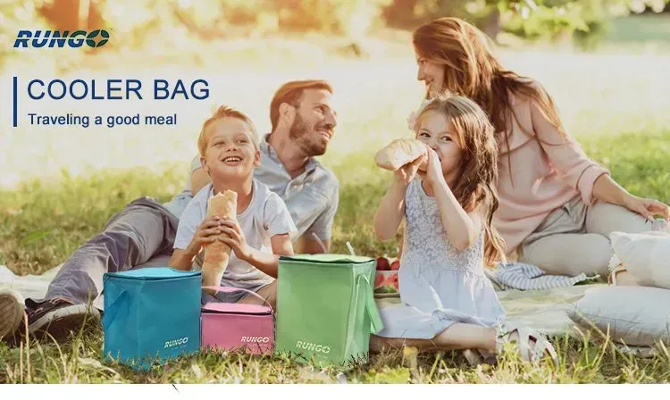 Picnic Beer Ice Bag Promotional Isothermal Non Woven Cooler Lunch Bag Cheapest Reusable Outdoor Insulated Food Custom Size Free -   ICE-2102 - Detail